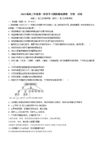 天津市实验中学2022-2023学年高三上学期第一阶段学习质量检测生物试题(含答案)