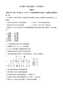 2023北京市中国人民大学附中高三10月月考生物试题（含答案）