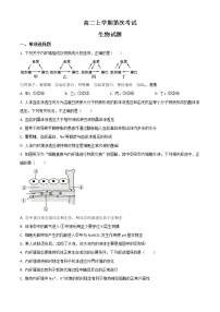 2023聊城二中高二上学期第一次月考生物试题含解析