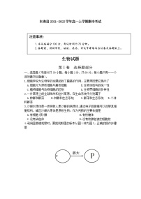 2022连云港东海县高一上学期期中考试生物试题含答案