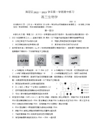 2023北京海淀区高三上学期期中生物试题含答案