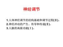 2022届高三生物一轮复习课件:神经调节