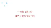 2023届高三生物一轮复习12讲　减数分裂与受精作用课件