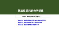 2023届高三一轮复习生物：3.4 基因控制蛋白质合成（中心法则）课件