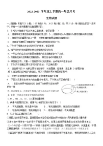 山东省淄博市临淄区中学2022-2023学年高一生物上学期10月月考试题（Word版附答案）