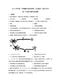 2022杭州地区（含周边）重点中学高二上学期期中联考生物试题含解析