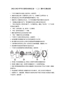 2022-2023学年天津市河西区高一（上）期中生物试卷（含答案解析）