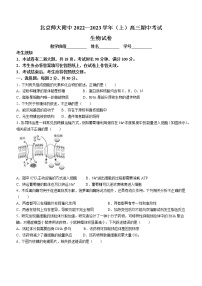 北京师范大学附中实验中学2022-2023学年高三上学期期中生物试题（含答案）