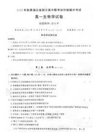 2023湖北省部分高中联考协作体高一上学期期中生物试题含答案