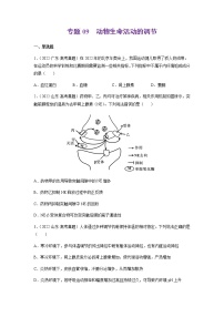 专题09 动物生命活动的调节-十年（2013-2022）高考生物真题分项汇编（全国通用）