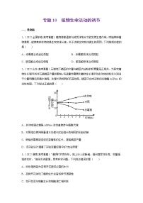 专题10 植物生命活动的调节-十年（2013-2022）高考生物真题分项汇编（全国通用）