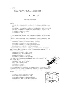 山西省金科大联考2022-2023学年高三上学期11月质量检测生物试题 （含答案）