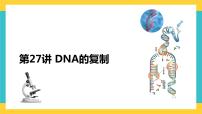 【高考一轮专题复习】高考生物专题复习——第27讲《DNA的复制》复习课件（全国通用）