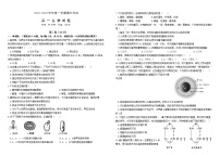 2023聊城一中高一上学期11月期中考试生物试题含答案