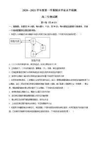 精品解析：山东省青岛市黄岛区2020-2021学年高二上学期期末生物试题