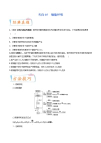 【备战2023高考】生物专题讲与练——考向05《细胞呼吸》全能练（含解析）（全国通用）