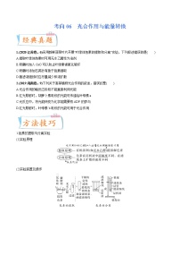 【备战2023高考】生物专题讲与练——考向06《光合作用与能量转换》全能练（含解析）（全国通用）