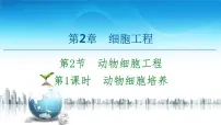 人教版 (2019)选择性必修3一 动物细胞培养备课课件ppt