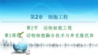 高中生物人教版 (2019)选择性必修3第2章 细胞工程第2节 动物细胞工程二 动物细胞融合技术与单克隆抗体教课ppt课件