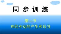 浙科版 (2019)选择性必修1 稳态与调节第二节  神经冲动的产生和传导图文ppt课件