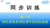 浙科版 (2019)选择性必修1 稳态与调节第一节  神经系统是神经调节的结构基础图文课件ppt