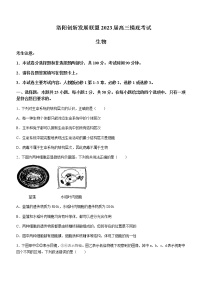 2023届河南省洛阳市创新发展联盟高三上学期7月摸底检测生物学试题含解析