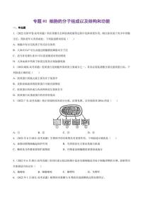 （2018-2022）五年高考生物真题分类汇编 专题01 细胞的分子组成以及结构和功能（学生版+解析版）