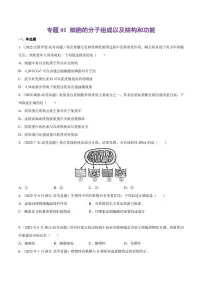 (2018-2022)五年高考生物真题分类汇编 专题01 细胞的分子组成以及结构和功能(学生版+解析版)