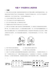 （2018-2022）五年高考生物真题分类汇编 专题07 伴性遗传和人类遗传病（学生版+解析版）