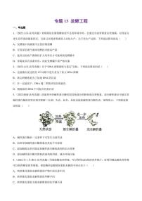 （2018-2022）五年高考生物真题分类汇编 专题13 发酵工程（学生版+解析版）