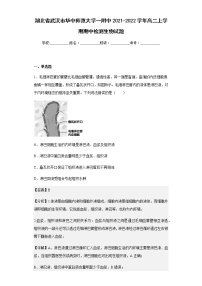 湖北省武汉市华中师范大学一附中2021-2022学年高二上学期期中检测生物试题含解析