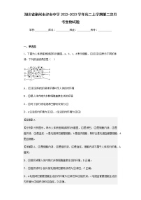 2022-2023学年湖北省荆州市沙市中学高二上学期第二次月考生物试题含解析