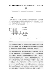 2022-2023学年湖北省襄阳市襄州区一中高二9月月考生物试题含解析