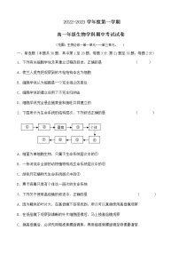 海南省海口市秀英区某校2022-2023学年高一上学期期中检测生物试题（含答案）