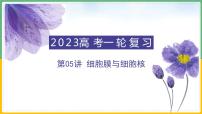 【备战2023高考】生物总复习——专题05《细胞膜与细胞核》课件（新教材新高考）