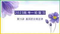 【备战2023高考】生物总复习——专题15《基因的分离定律》课件（新教材新高考）