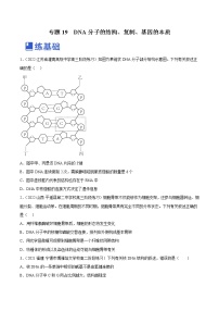 【备战2023高考】生物总复习——专题19《DNA分子的结构、复制、基因的本质》练习（新教材新高考）