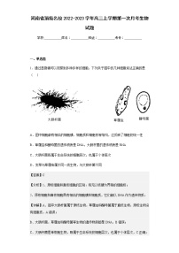 2022-2023学年河南省顶级名校高三上学期第一次月考生物试题含解析