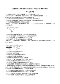 2023安徽师大附中高二上学期期中考查生物试题含答案