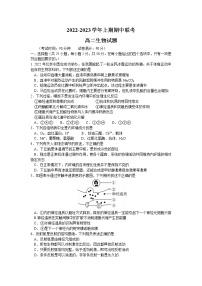 2023商丘名校联盟高二上学期期中联考试题生物含解析