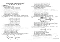 2023四川省树德中学高二上学期11月阶段性测试生物pdf版含答案（可编辑）