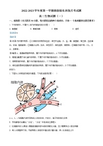 2023榆林定边县第四中高二上学期第一次月考生物试题含解析