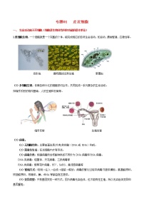 高中生物专题01 走近细胞-2021年高考生物一轮复习知识点梳理与归纳