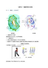 高中生物专题03 细胞的基本结构-2021年高考生物一轮复习知识点梳理与归纳