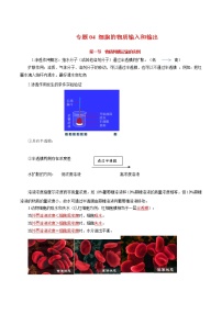 高中生物专题04 细胞的物质输入和输出-2021年高考生物一轮复习知识点梳理与归纳