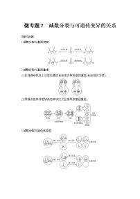 高考生物微专题（通用版）微专题7 减数分裂与可遗传变异的关系