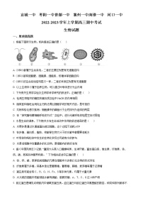 2023湖北省宜城一中、枣阳一中等六校联考高三上学期期中考试生物试题含答案