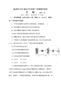 江苏省盐城市2022-2023学年高三生物上学期期中考试试题(Word版附答案)