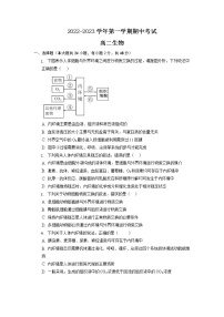 安徽省滁州市定远县炉桥中学2022-2023学年高二上学期期中考试生物试题