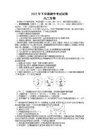 湖南省邵阳市武冈市2022-2023学年高二上学期期中考试生物试题